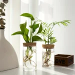 Desktop Plant Propagation Station for Home Decoration - Image 3