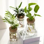 Desktop Plant Propagation Station for Home Decoration - Image 2