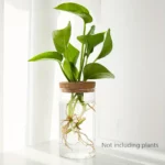 Desktop Plant Propagation Station for Home Decoration - Image 11