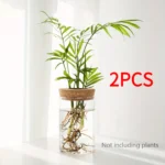 Desktop Plant Propagation Station for Home Decoration - Image 9