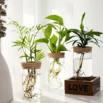 Desktop Plant Propagation Station for Home Decoration - Image 5