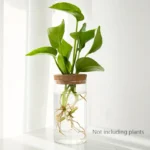 Desktop Plant Propagation Station for Home Decoration - Image 4