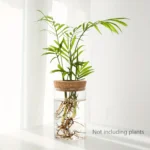 Desktop Plant Propagation Station for Home Decoration - Image 7