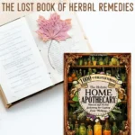 The Holistic Home Apothecary Book – Natural Healing & Herbal Remedies Guide - Image 6
